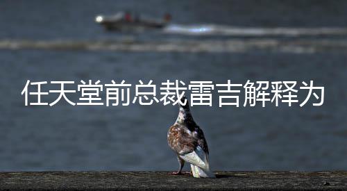 雷吉戏几堂前堂游解释不打为何乎从总裁折任天任天