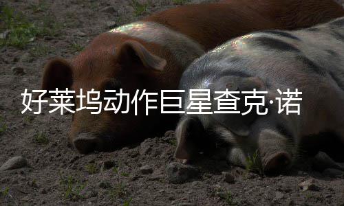 与多星查戏演部游坞动诺里好莱作巨曾参克·斯去世 出
